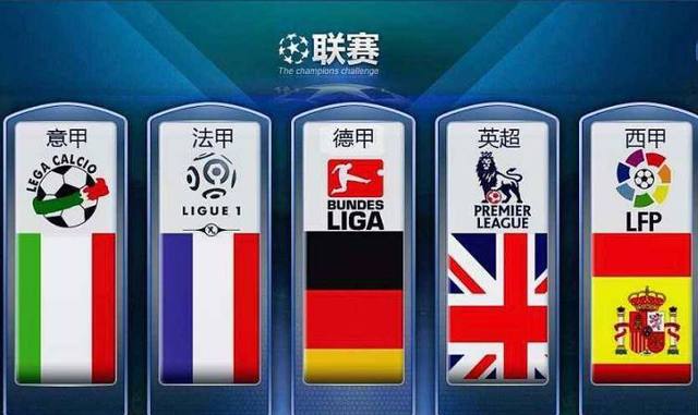 新人選手通